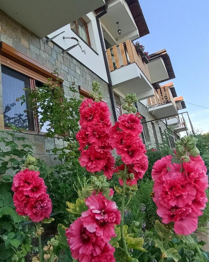 Lesnovo House Tomevski Luaran gambar